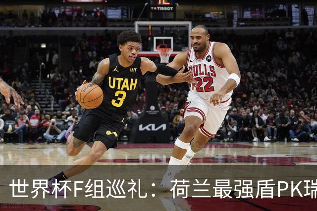 世界杯F组巡礼：荷兰最强盾PK瑞典犀利刀 日本短板明显