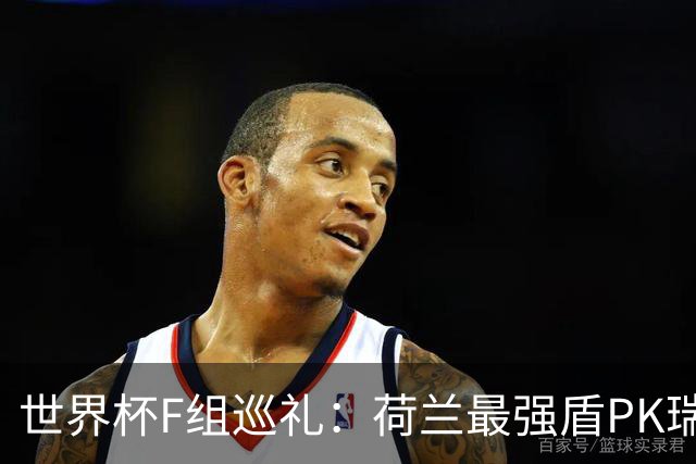 世界杯F组巡礼：荷兰最强盾PK瑞典犀利刀 日本短板明显