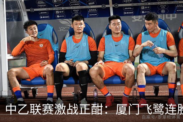 中乙联赛激战正酣：厦门飞鹭连胜在望，泰山B队面临危机