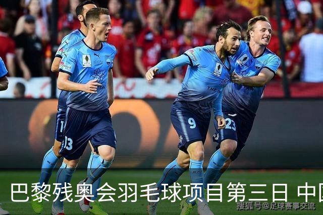 巴黎残奥会羽毛球项目第三日 中国队取得13胜3负