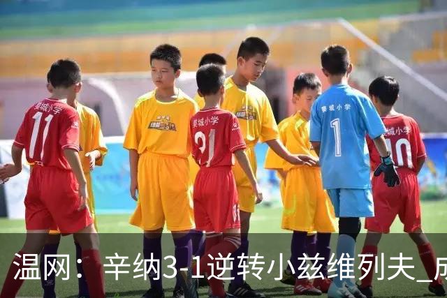 温网：辛纳3-1逆转小兹维列夫 成功卫冕夺生涯第五冠