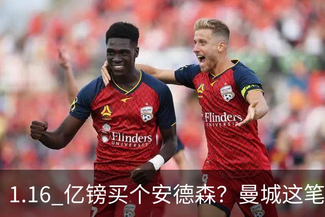 1.16 亿镑买个安德森？曼城这笔账算得过来吗